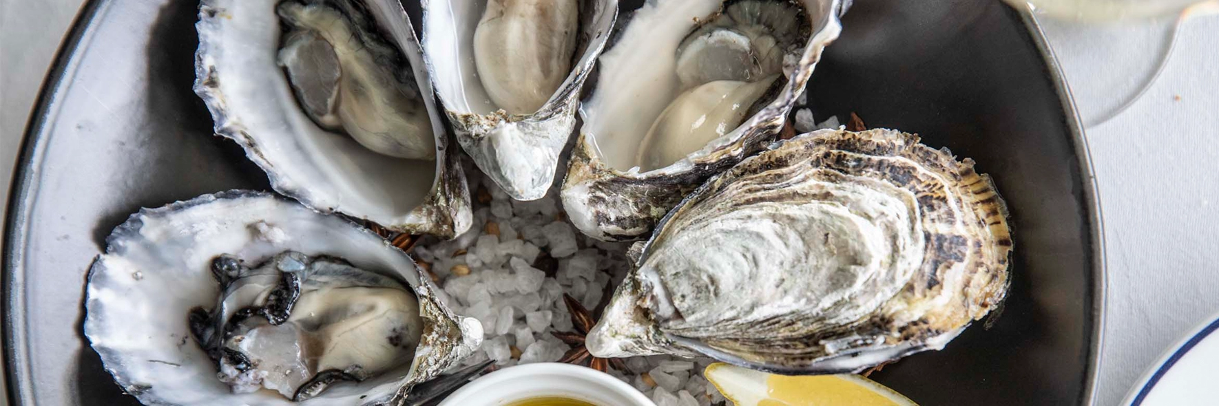 Oysters served in the Committee Room by Grossi